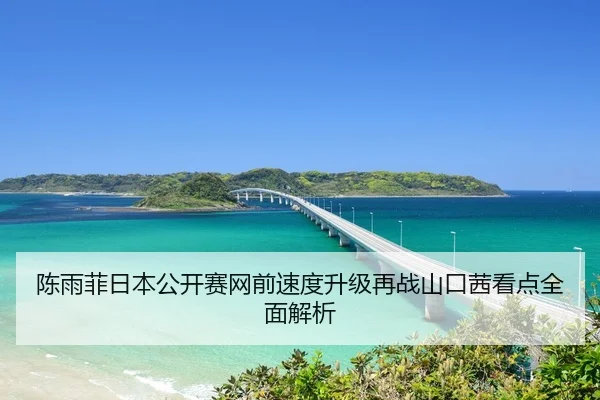 陈雨菲日本公开赛网前速度升级再战山口茜看点全面解析